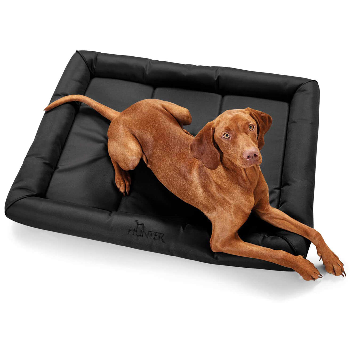 Hunter dogbed vermont (Black)