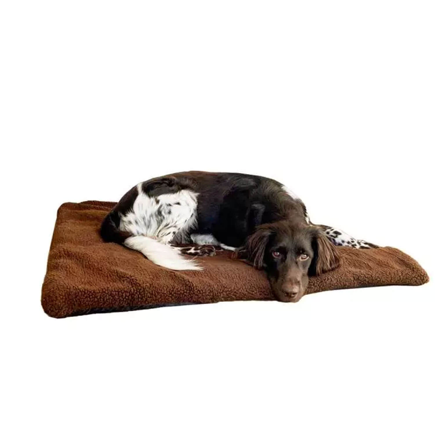 Blaser dogblanket Logo