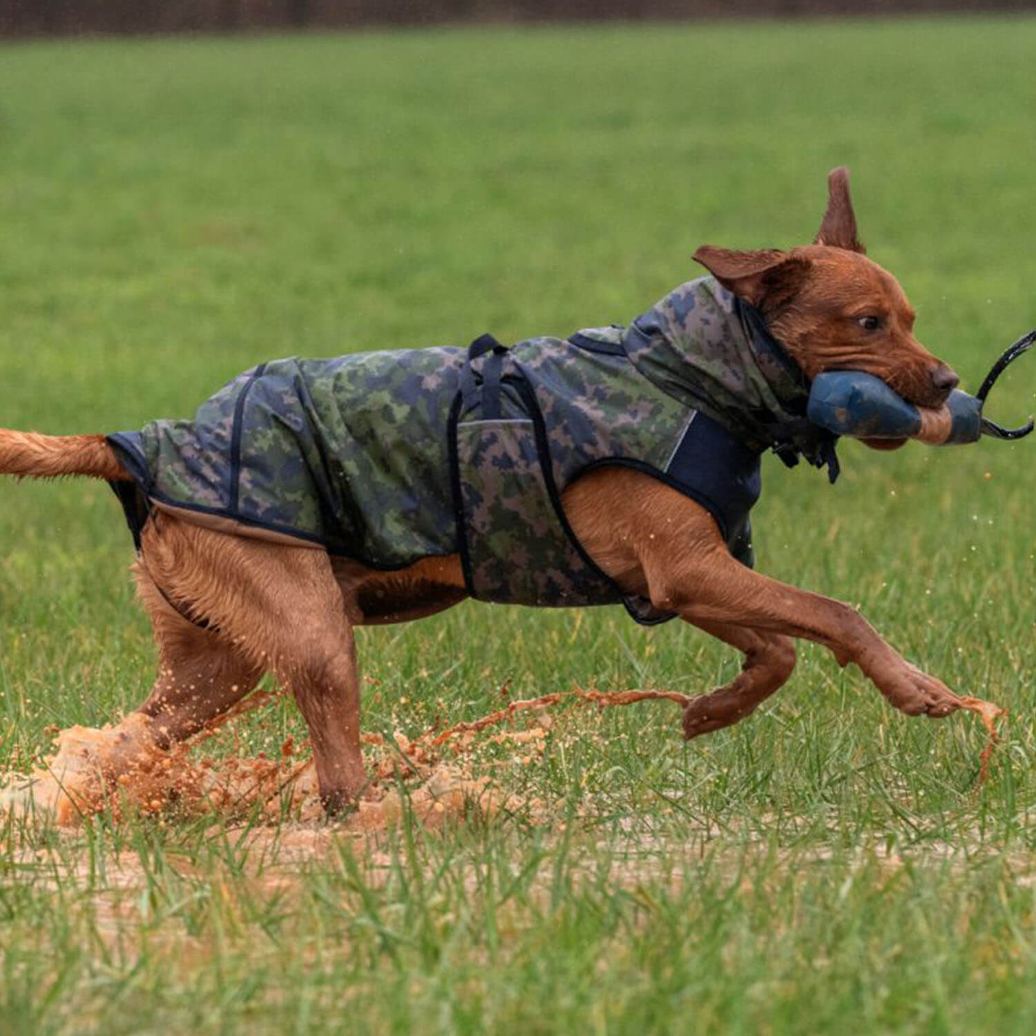 Actionfactory dog cape Elastic Light (Camo)