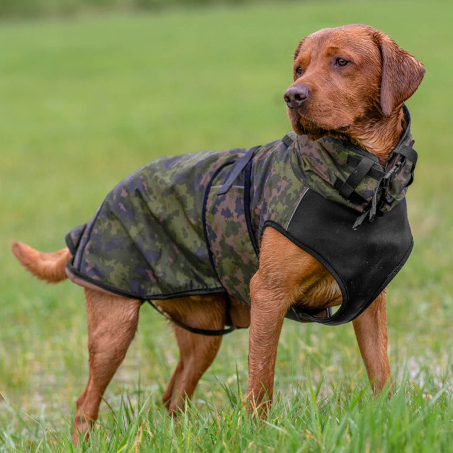 Actionfactory dog cape Elastic Light (Camo) - Gun Dog Supply