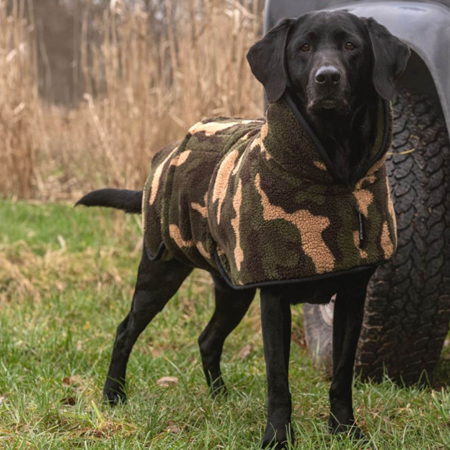 Actionfactory dog cape Warmup Classic (reversible) - Gun Dog Supply