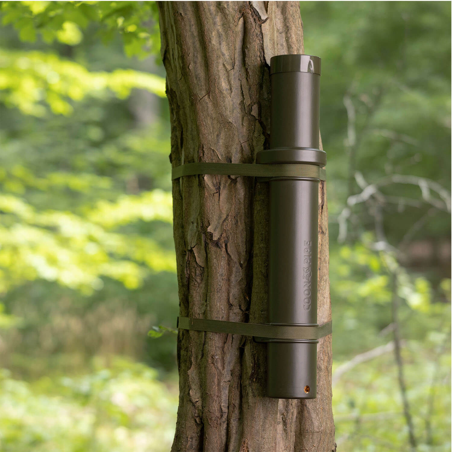 Eurohunt racoon feeder coonpipe