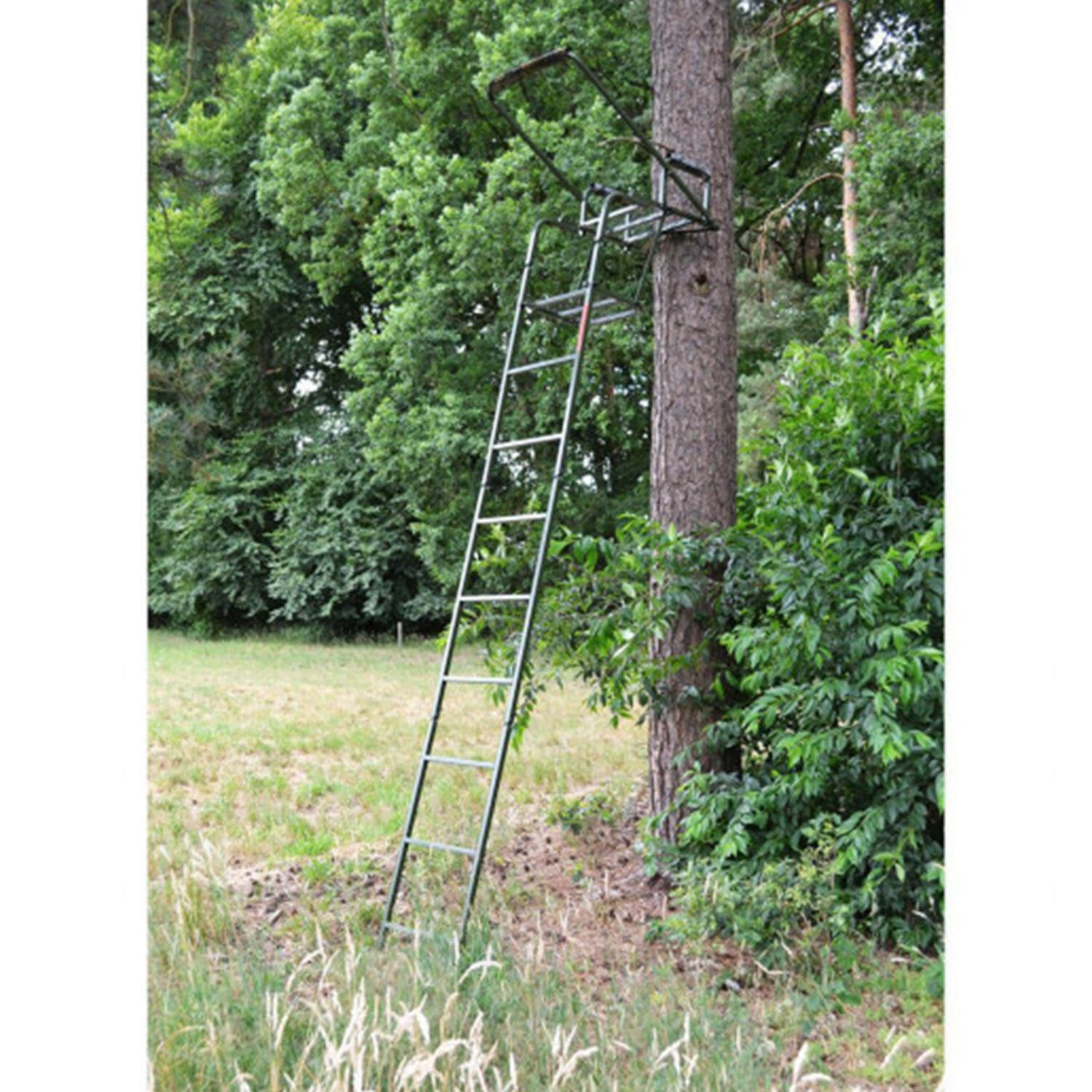 Farm-Land hunting ladder