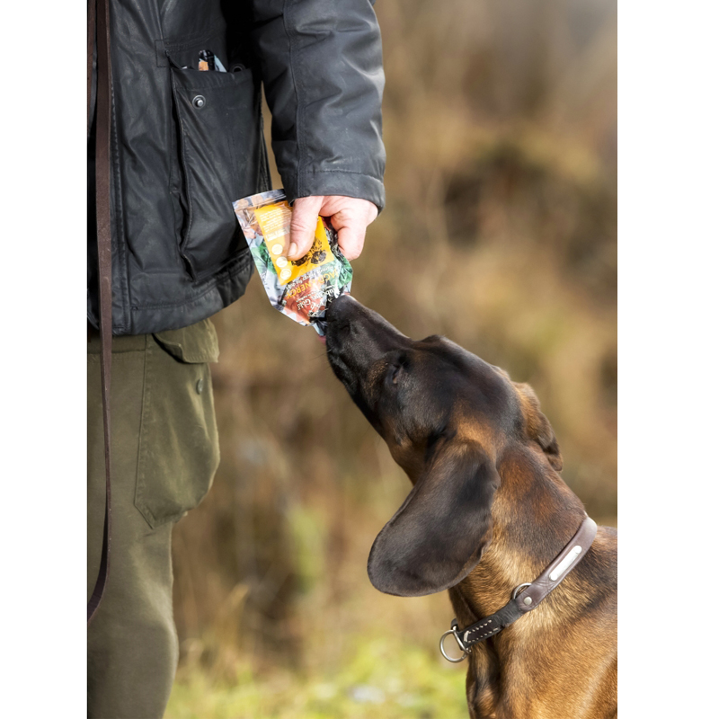 Hubertus Gold Meat Snack Hunting Energy